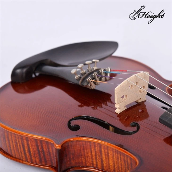 Great Violin For Beginners
