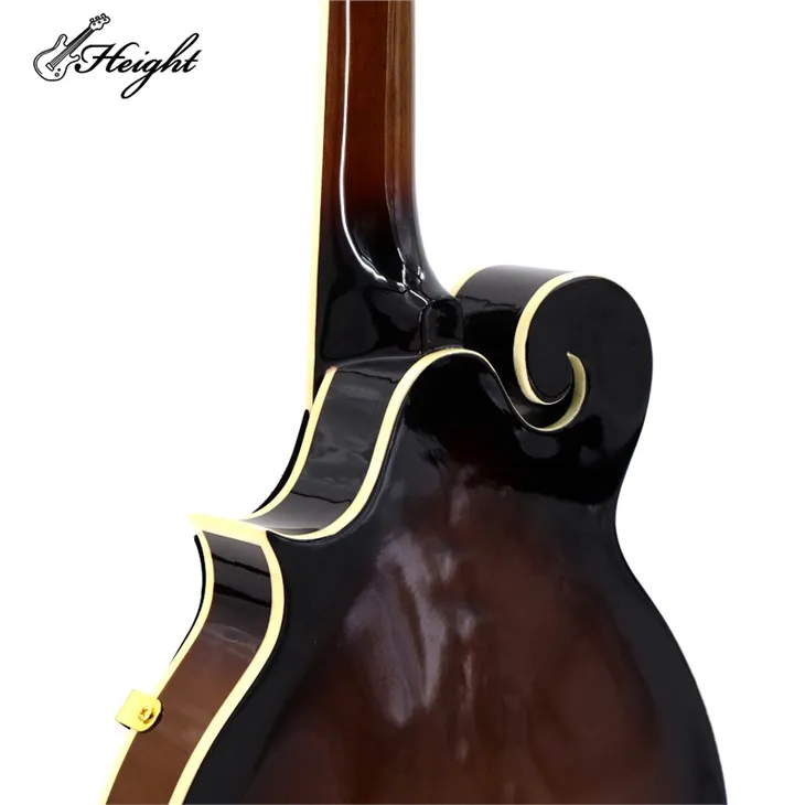 Italian Vintage Mandolin: Masterful Playing